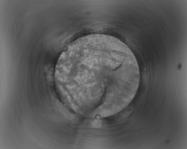 X0000116550181200912311919