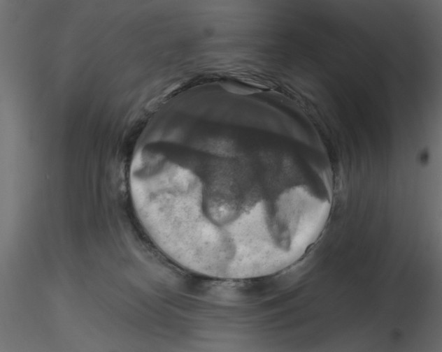 X0000116550182200912311919