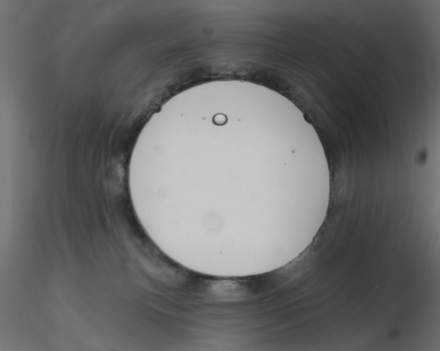 X0000116550183200912311919