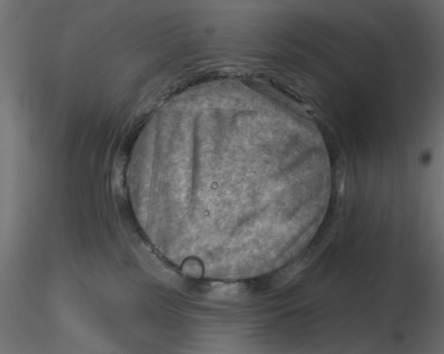 X0000116550185200912311919