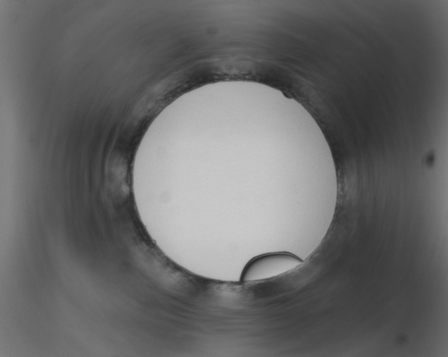 X0000116550187200912311919