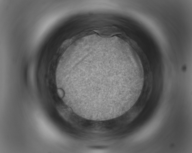 X0000116550189200912311919