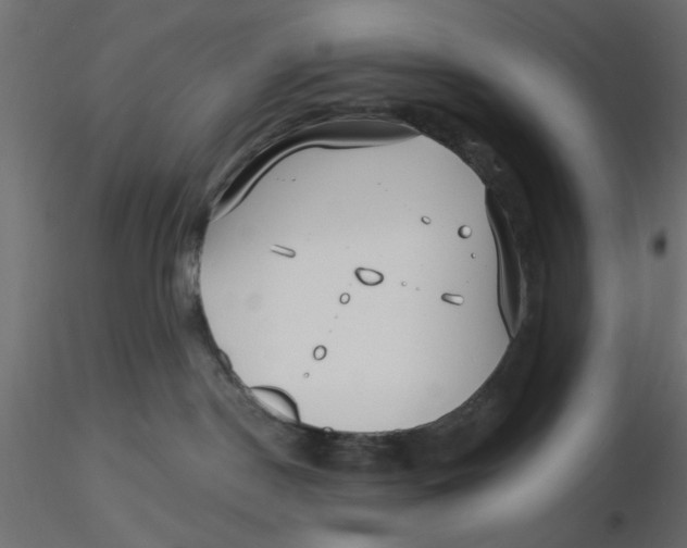 X0000116550190200912311919