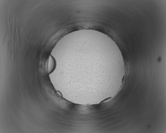 X0000116550191200912311919