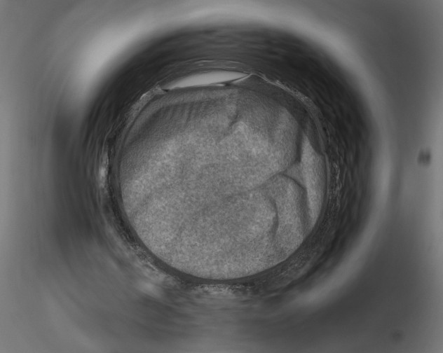 X0000116550194200912311919