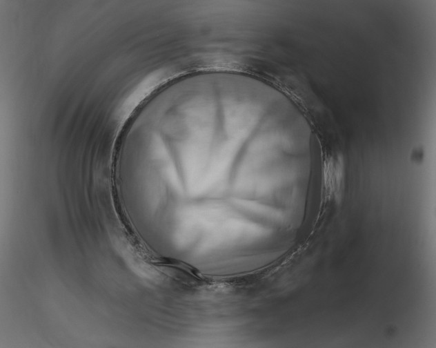 X0000116550195200912311919