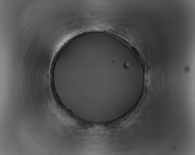 X0000116550196200912311919