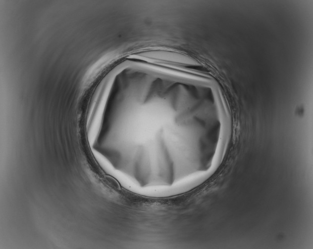 X0000116550197200912311918