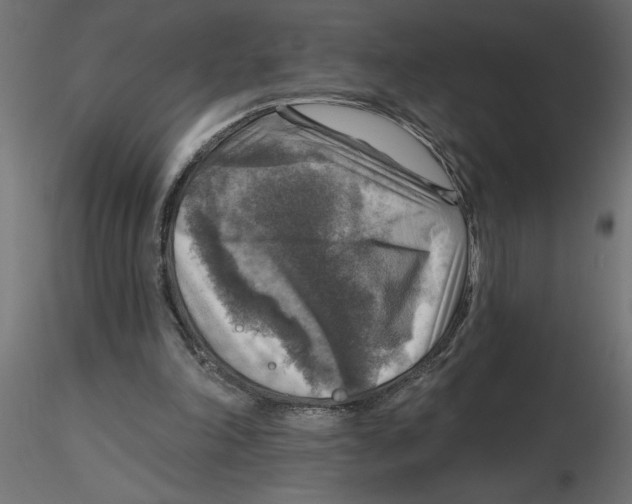 X0000116550198200912311918