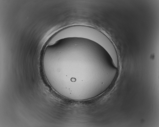 X0000116550199200912311918