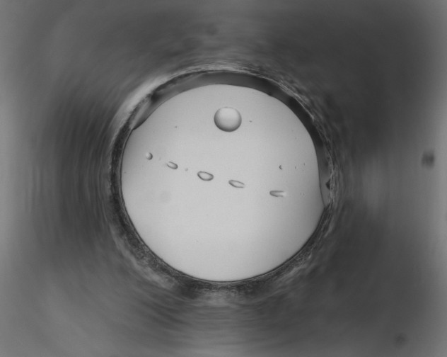 X0000116550200200912311918