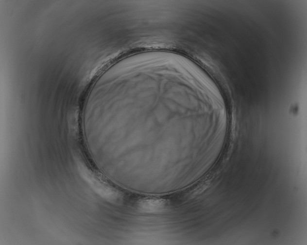 X0000116550202200912311918