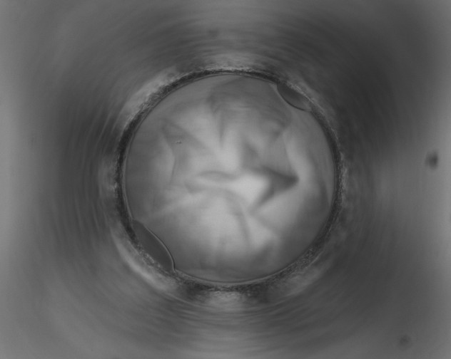 X0000116550203200912311918