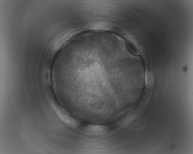 X0000116550205200912311918