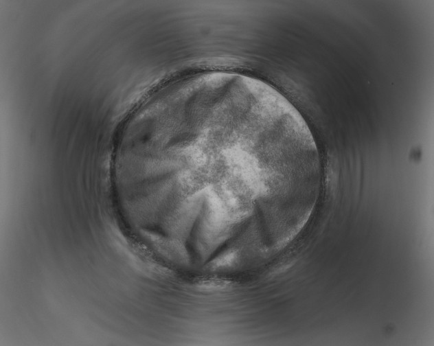 X0000116550206200912311918