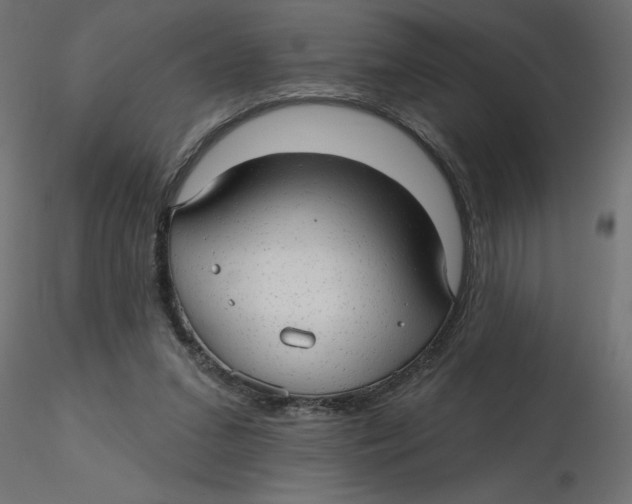 X0000116550207200912311918