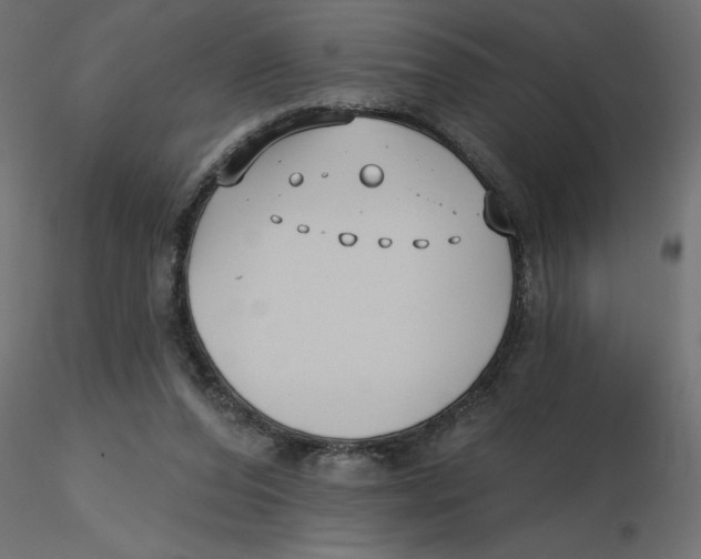 X0000116550208200912311918