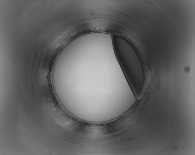 X0000116550209200912311918