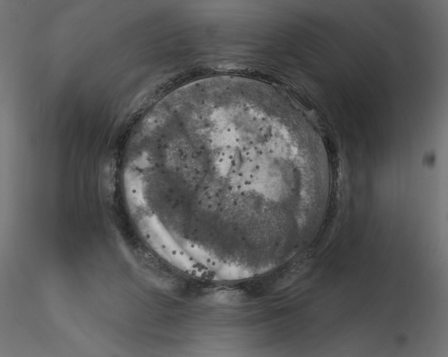 X0000116550210200912311918