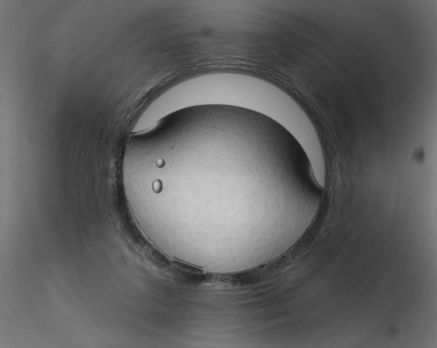 X0000116550211200912311918