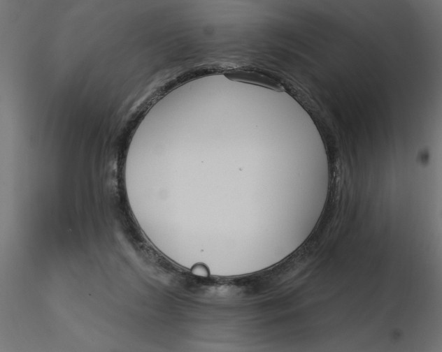 X0000116550212200912311918