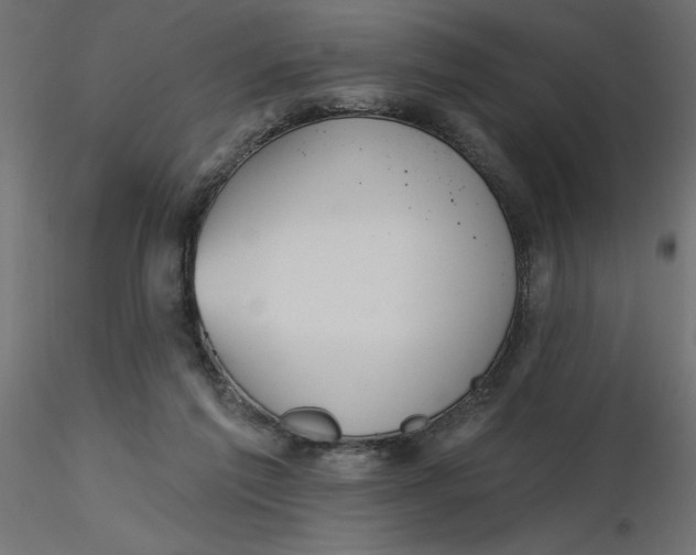 X0000116550213200912311918