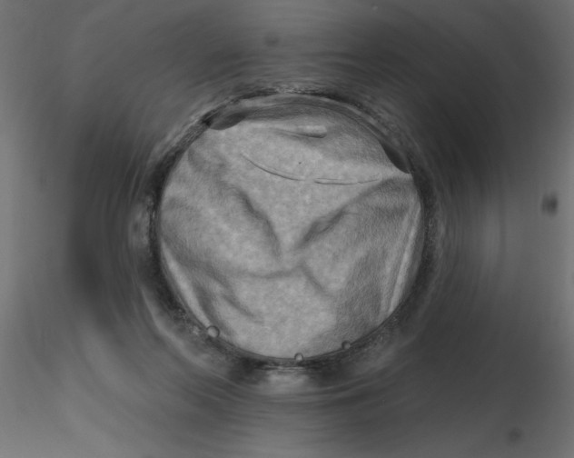 X0000116550214200912311918