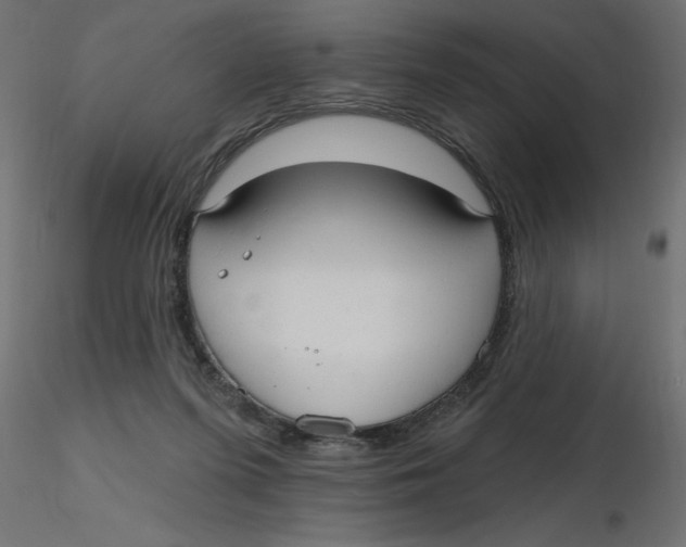 X0000116550215200912311918