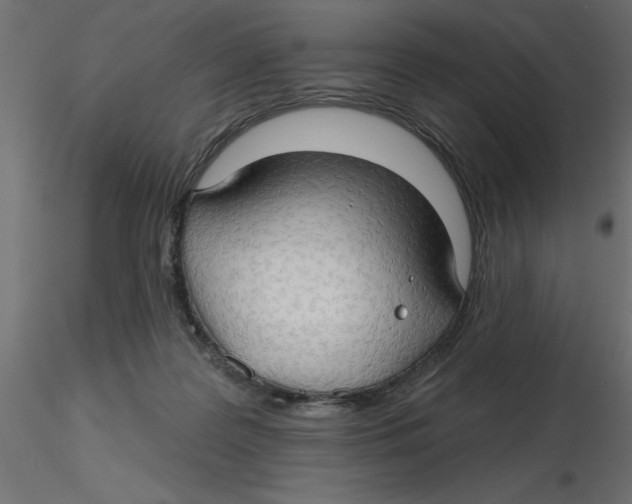 X0000116550219200912311918