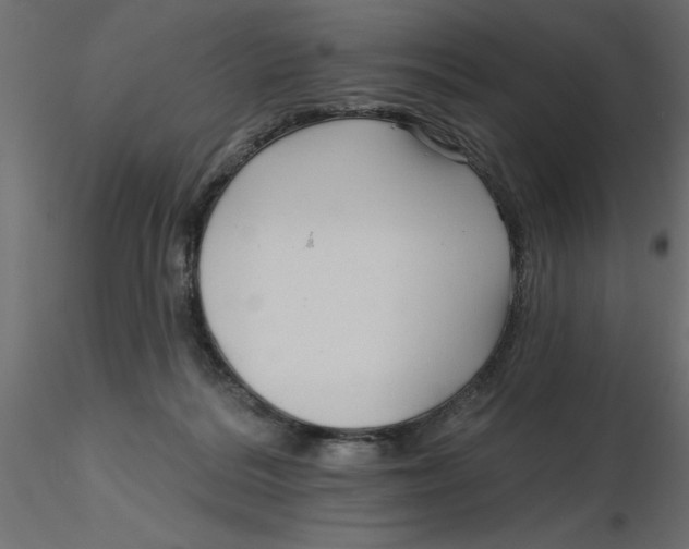 X0000116550220200912311918