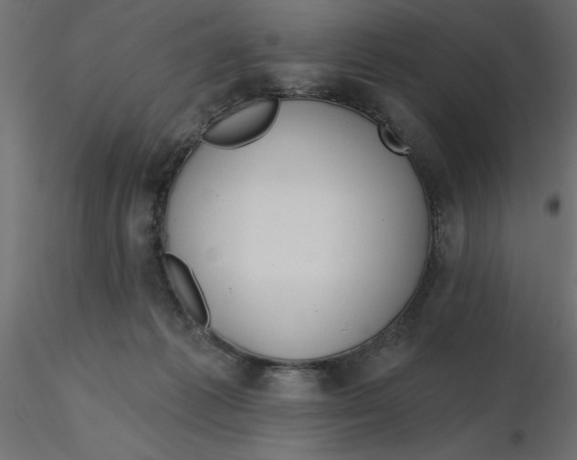 X0000116550221200912311918