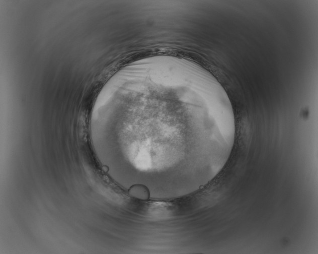 X0000116550222200912311918