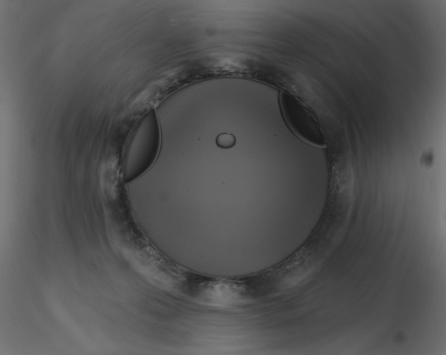 X0000116550223200912311918