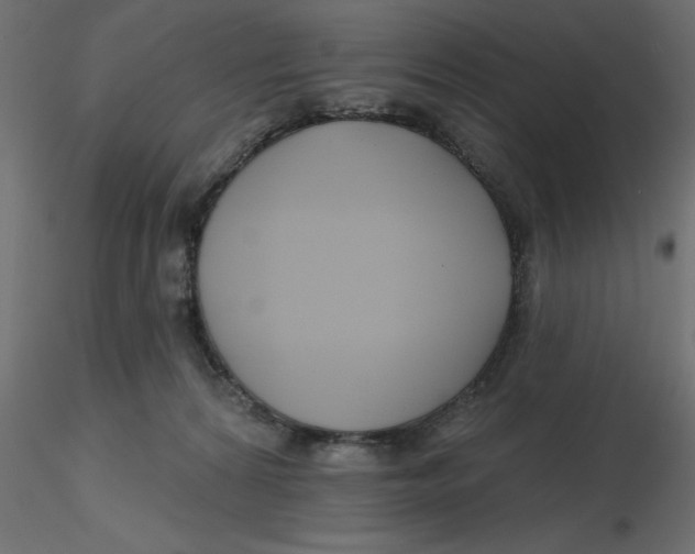 X0000116550224200912311918