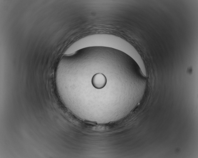 X0000116550225200912311918