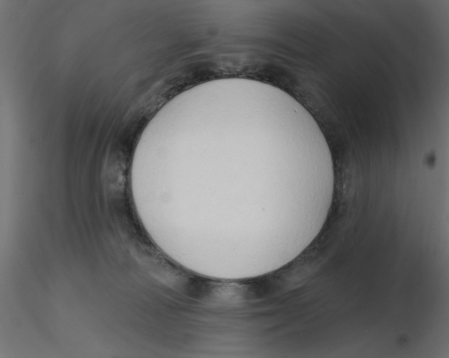 X0000116550226200912311918