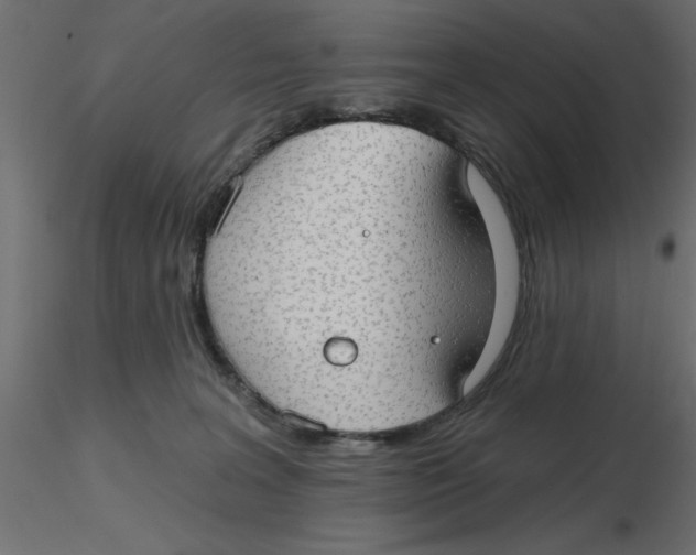 X0000116550227200912311918