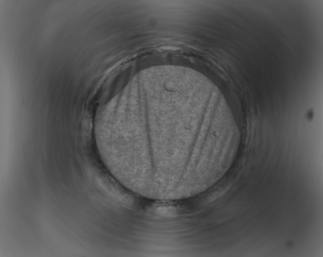 X0000116550228200912311918