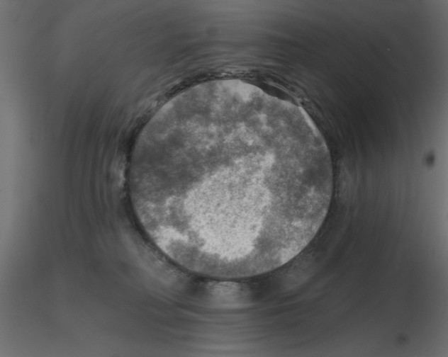 X0000116550230200912311918