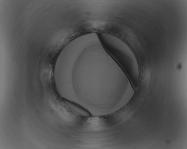 X0000116550231200912311918