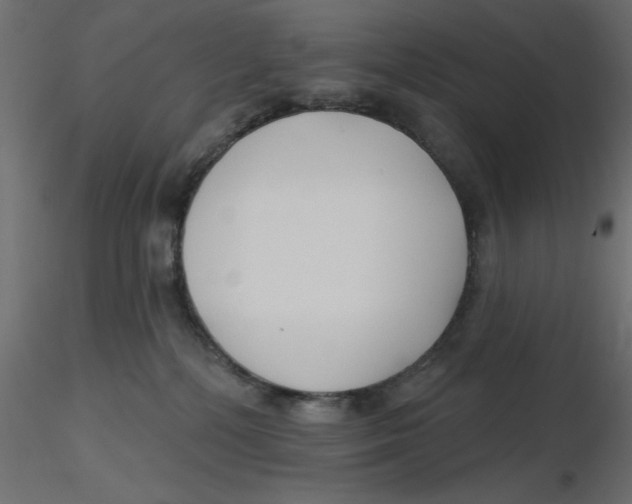 X0000116550232200912311918