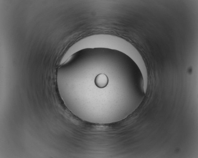 X0000116550233200912311918