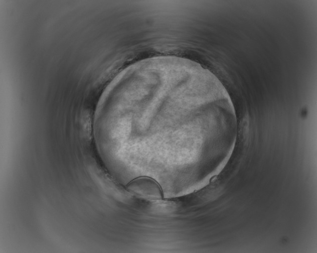 X0000116550234200912311918