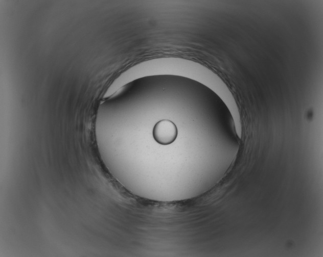 X0000116550235200912311918