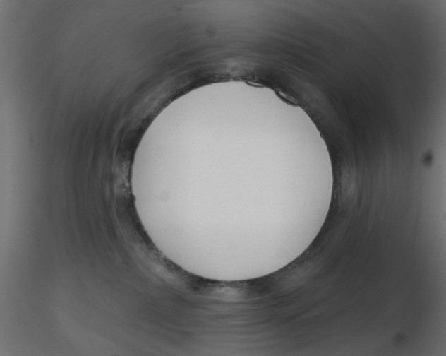 X0000116550236200912311918