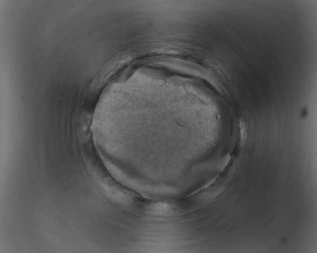 X0000116550237200912311918