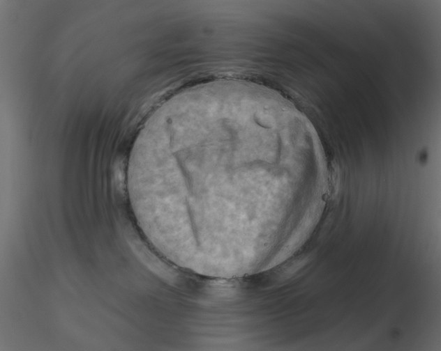 X0000116550238200912311918