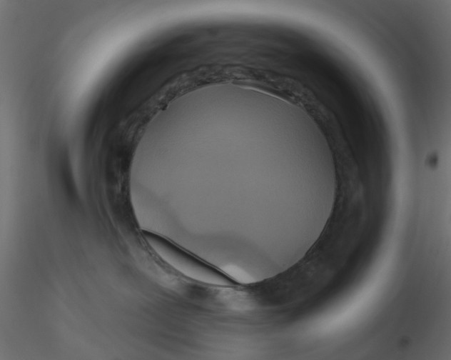 X0000116550239200912311918