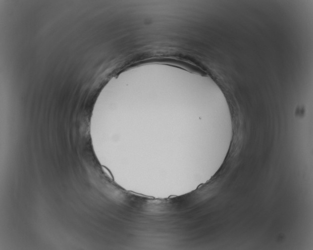 X0000116550240200912311918