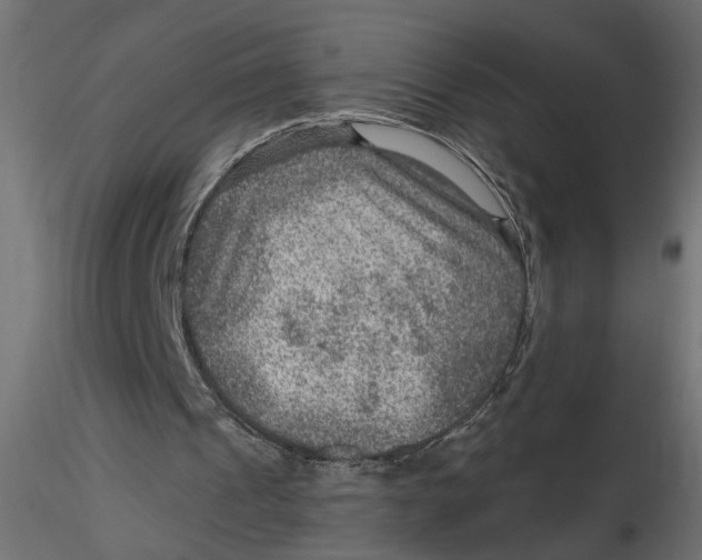 X0000116550241200912311917